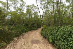 property photo for Big White Oak Tract 131, 7.37 acres for sale in Perry County, Tennessee
