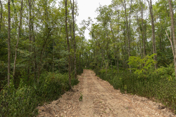 property photo for Big White Oak Tract 131, 7.37 acres for sale in Perry County, Tennessee
