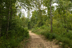property photo for Big White Oak Tract 131, 7.37 acres for sale in Perry County, Tennessee