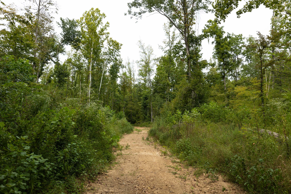 7.37 acre rural land tract for sale at Big White Oak Tract 131 in Perry County, Tennessee