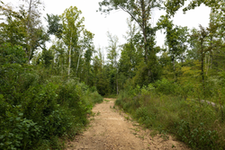 property photo for Big White Oak Tract 131, 7.37 acres for sale in Perry County, Tennessee