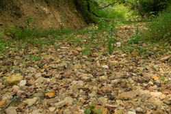 property photo for Big White Oak Tract 133, 9.46 acres for sale in Perry County, Tennessee