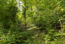 property photo for Big White Oak Tract 133, 9.46 acres for sale in Perry County, Tennessee