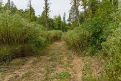 property photo for Big White Oak Tract 133, 9.46 acres for sale in Perry County, Tennessee