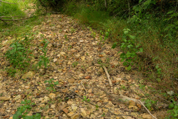 property photo for Big White Oak Tract 133, 9.46 acres for sale in Perry County, Tennessee