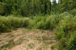 property photo for Big White Oak Tract 133, 9.46 acres for sale in Perry County, Tennessee