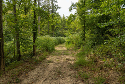 property photo for Big White Oak Tract 133, 9.46 acres for sale in Perry County, Tennessee