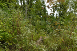 property photo for Big White Oak Tract 133, 9.46 acres for sale in Perry County, Tennessee