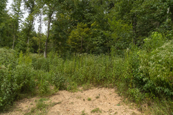 property photo for Big White Oak Tract 133, 9.46 acres for sale in Perry County, Tennessee