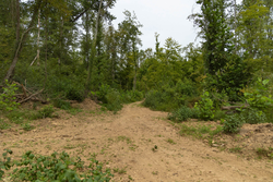 property photo for Big White Oak Tract 133, 9.46 acres for sale in Perry County, Tennessee