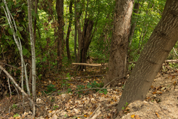 property photo for Big White Oak Tract 134, 7.32 acres for sale in Perry County, Tennessee