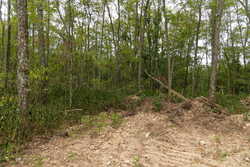 property photo for Big White Oak Tract 134, 7.32 acres for sale in Perry County, Tennessee