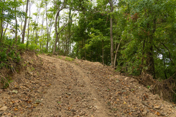 property photo for Big White Oak Tract 134, 7.32 acres for sale in Perry County, Tennessee