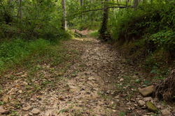 property photo for Big White Oak Tract 134, 7.32 acres for sale in Perry County, Tennessee