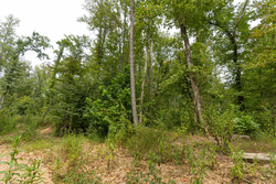 property photo for Big White Oak Tract 134, 7.32 acres for sale in Perry County, Tennessee