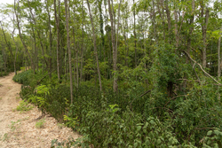 property photo for Big White Oak Tract 134, 7.32 acres for sale in Perry County, Tennessee