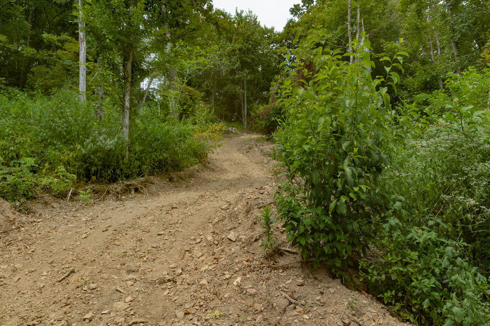 7.32 acre rural land tract for sale at Big White Oak Tract 134 in Perry County, Tennessee