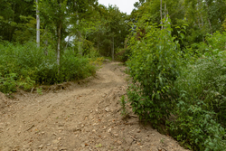 property photo for Big White Oak Tract 134, 7.32 acres for sale in Perry County, Tennessee