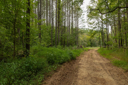 property photo for Big White Oak Tract 137, 12.4 acres for sale in Perry County, Tennessee