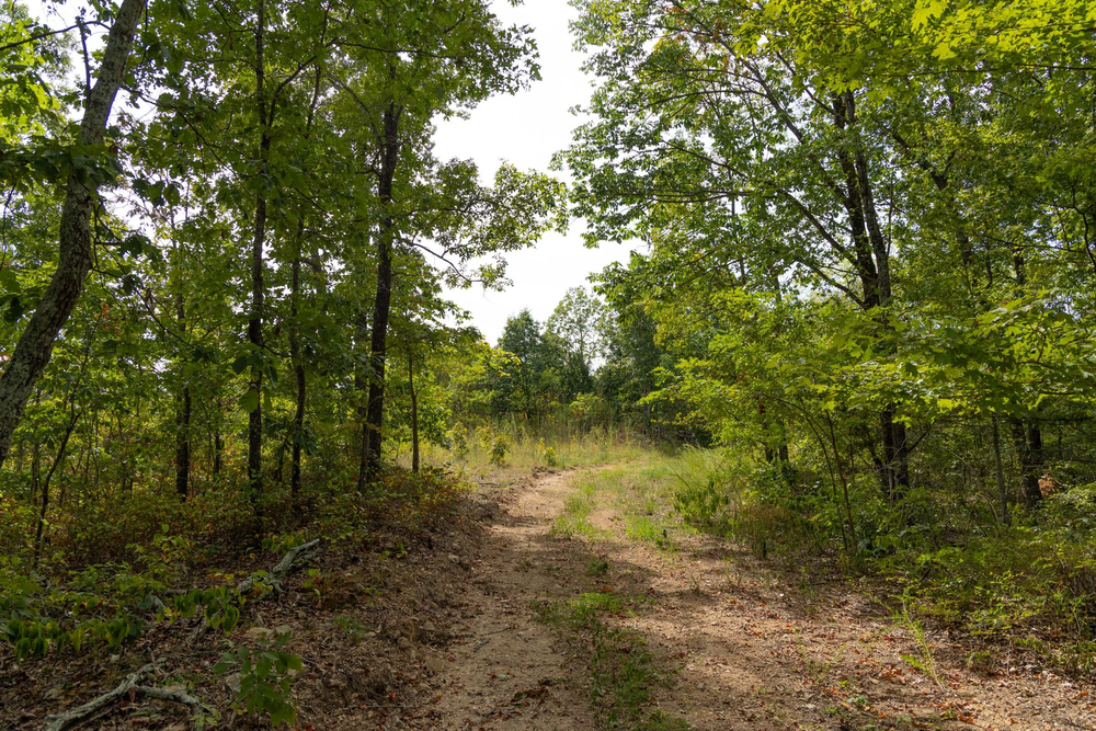 12.83 acre rural land tract for sale at Big White Oak Tract 147 in Perry County, Tennessee