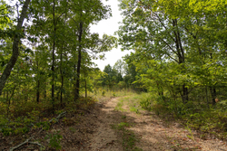 property photo for Big White Oak Tract 147, 12.83 acres for sale in Perry County, Tennessee