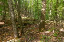 property photo for Big White Oak Tract 149, 13.51 acres for sale in Perry County, Tennessee