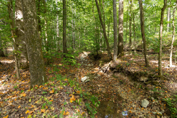 property photo for Big White Oak Tract 149, 13.51 acres for sale in Perry County, Tennessee