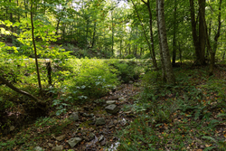 property photo for Big White Oak Tract 149, 13.51 acres for sale in Perry County, Tennessee