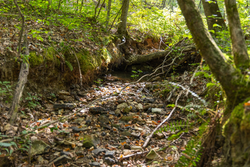 property photo for Big White Oak Tract 149, 13.51 acres for sale in Perry County, Tennessee