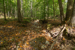 property photo for Big White Oak Tract 149, 13.51 acres for sale in Perry County, Tennessee