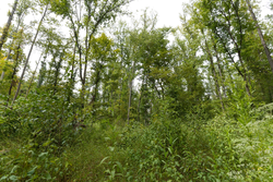 property photo for Big White Oak Tract 149, 13.51 acres for sale in Perry County, Tennessee