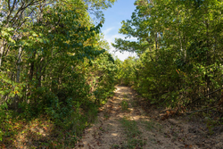 property photo for Big White Oak Tract 149, 13.51 acres for sale in Perry County, Tennessee