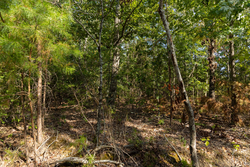 property photo for Big White Oak Tract 151, 25.62 acres for sale in Perry County, Tennessee