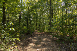 property photo for Big White Oak Tract 151, 25.62 acres for sale in Perry County, Tennessee