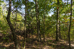 property photo for Big White Oak Tract 151, 25.62 acres for sale in Perry County, Tennessee