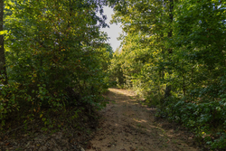 property photo for Big White Oak Tract 151, 25.62 acres for sale in Perry County, Tennessee