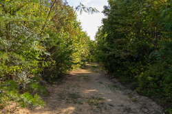 property photo for Big White Oak Tract 151, 25.62 acres for sale in Perry County, Tennessee