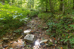 property photo for Big White Oak Tract 16, 14.55 acres for sale in Perry County, Tennessee