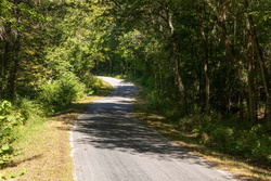 property photo for Big White Oak Tract 16, 14.55 acres for sale in Perry County, Tennessee