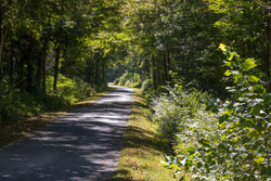 property photo for Big White Oak Tract 16, 14.55 acres for sale in Perry County, Tennessee