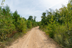 property photo for Big White Oak Tract 19, 13.58 acres for sale in Perry County, Tennessee