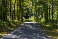 property photo for Big White Oak Tract 19, 13.58 acres for sale in Perry County, Tennessee