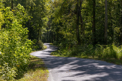 property photo for Big White Oak Tract 20, 9.63 acres for sale in Perry County, Tennessee
