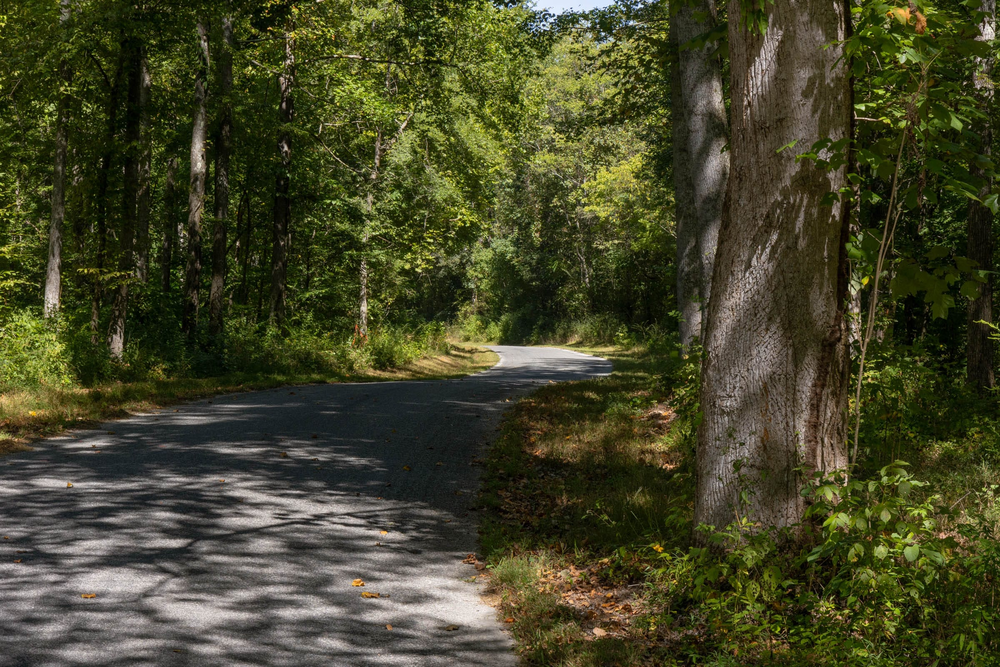 9.63 acre rural land tract for sale at Big White Oak Tract 20 in Perry County, Tennessee