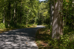property photo for Big White Oak Tract 20, 9.63 acres for sale in Perry County, Tennessee