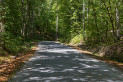 property photo for Big White Oak Tract 26, 5.1 acres for sale in Perry County, Tennessee