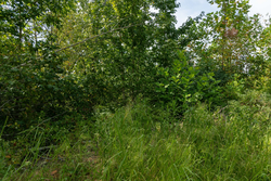 property photo for Big White Oak Tract 31, 6.33 acres for sale in Perry County, Tennessee
