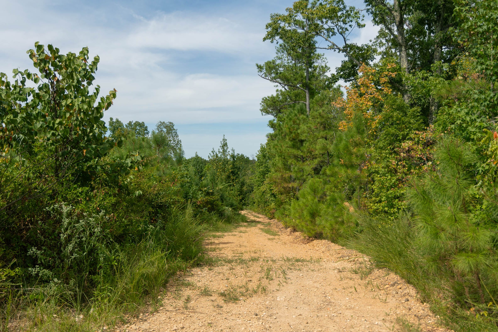 6.33 acre rural land tract for sale at Big White Oak Tract 31 in Perry County, Tennessee