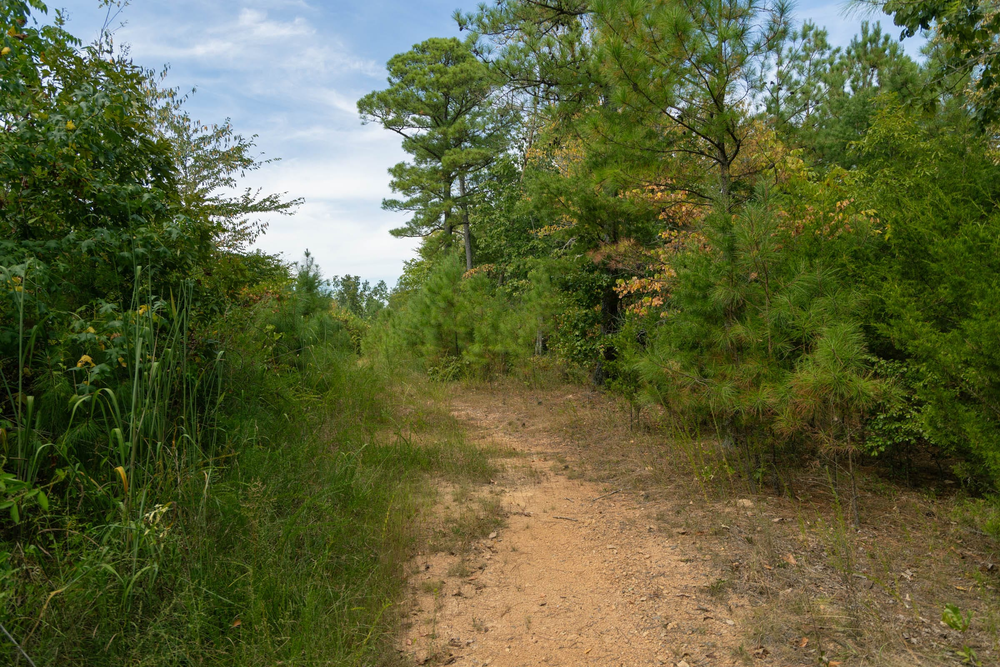 6.48 acre rural land tract for sale at Big White Oak Tract 34 in Perry County, Tennessee