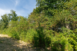 property photo for Big White Oak Tract 38, 5.76 acres for sale in Perry County, Tennessee